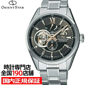 �y1���̓|�C���g�ő�41�{��10%OFF�N�[�|���z�I���G���g�X�^�[ ���_���X�P���g�� RK-AV0005N �����Y �r���v �@�B�� �������� ���^�� �O���[