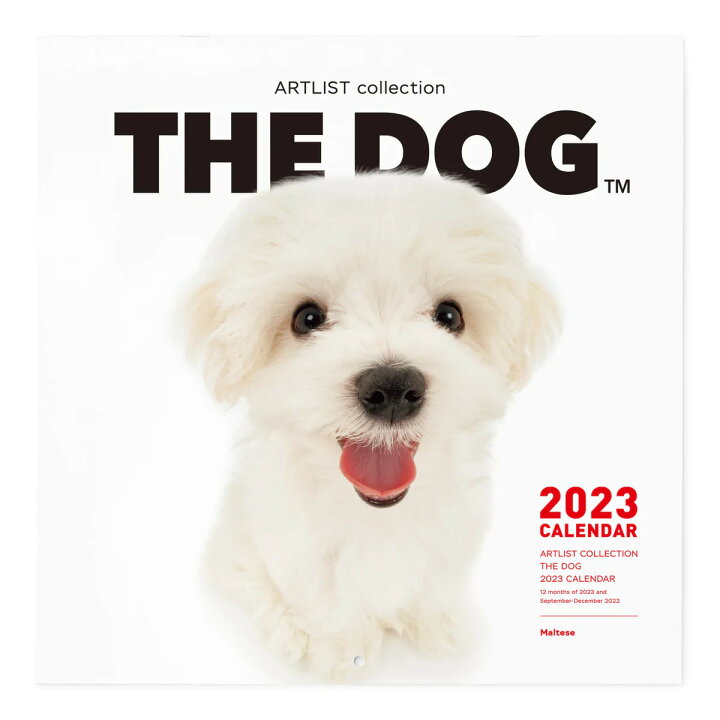 楽天市場 送料無料 The Dog 23年 カレンダー 大判サイズ マルチーズ 壁掛け ブックレット式 魚眼レンズ オリジナルシール付き 動物 いぬ イヌ 犬 壁掛 The Dog公式ストア The Dog Store 楽天市場店