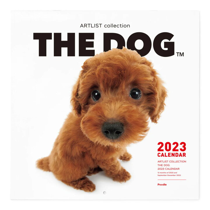 楽天市場 送料無料 The Dog 23年 カレンダー 大判サイズ プードル 壁掛け ブックレット式 魚眼レンズ オリジナルシール付き 動物 いぬ イヌ 犬 壁掛 The Dog公式ストア The Dog Store 楽天市場店
