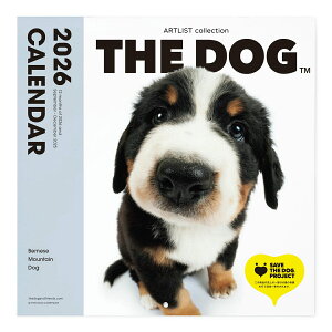 THE DOG 2026N J_[ 唻TCYio[j[YE}EeEhbO)Ǌ| ubNbg ჌Y IWiV[t   Ck  Ǌ| yTHE DOGXgAz