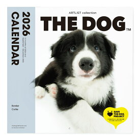 THE DOG 2026年 カレンダー 大判サイズ（ボーダー・コリー)壁掛け ブックレット式 魚眼レンズ オリジナルシール付き 動物 いぬ イヌ 犬 壁掛 【THE DOG公式ストア】
