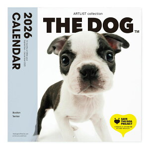 THE DOG 2026N J_[ 唻TCYi{XgEeA)Ǌ| ubNbg ჌Y IWiV[t   Ck  Ǌ| yTHE DOGXgAz