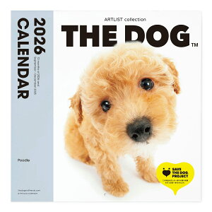 THE DOG 2026N J_[ 唻TCYiv[h)Ǌ| ubNbg ჌Y IWiV[t   Ck  Ǌ| yTHE DOGXgAz