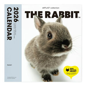 THE RABBIT 2026N J_[ 唻TCYǊ| ubNbg ჌Y IWiV[t   ETM e Ǌ| yTHE DOGXgAz