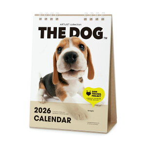 THE DOG 2026N J_[ir[O)O ჌Y IWiV[t   Ck yTHE DOGXgAz