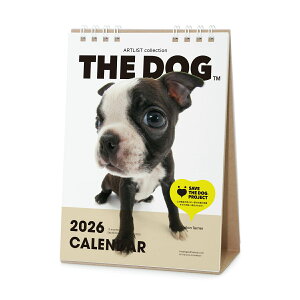 THE DOG 2026N J_[i{XgEeA)O ჌Y IWiV[t   Ck yTHE DOGXgAz