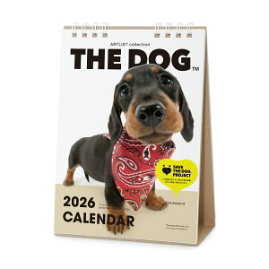 THE DOG 2026N J_[i_bNXth)O ჌Y IWiV[t   Ck yTHE DOGXgAz