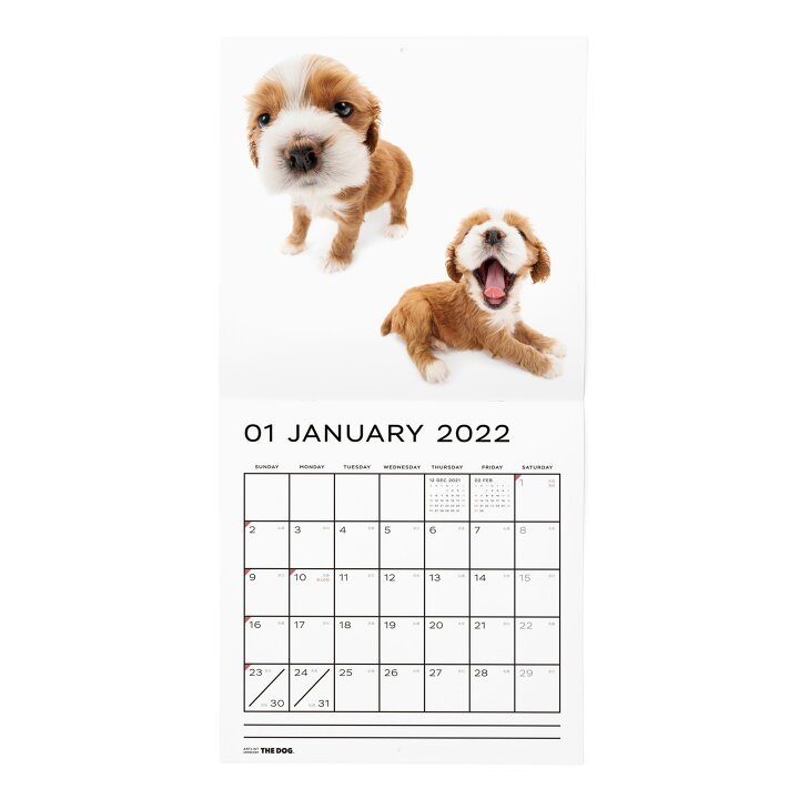 楽天市場 送料無料 The Dog公式ストア The Dog 22年 カレンダー 大判サイズ アメリカンコッカースパニエル 壁掛け ブックレット式 魚眼レンズ オリジナルシール付き動物 いぬ イヌ 犬 猫 カレンダー 壁掛 The Dog Store 楽天市場店