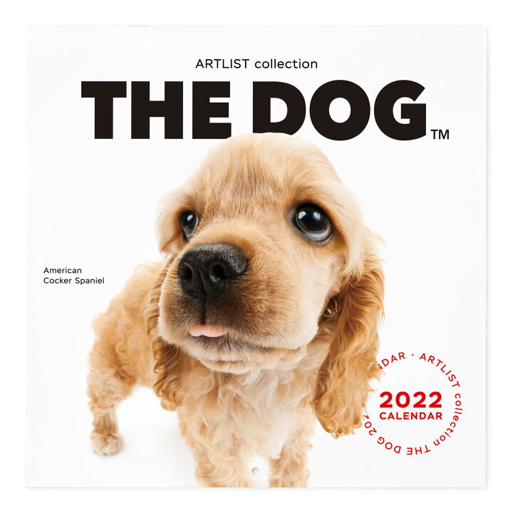 楽天市場 送料無料 The Dog公式ストア The Dog 22年 カレンダー 大判サイズ アメリカンコッカースパニエル 壁掛け ブックレット式 魚眼レンズ オリジナルシール付き動物 いぬ イヌ 犬 猫 カレンダー 壁掛 The Dog Store 楽天市場店