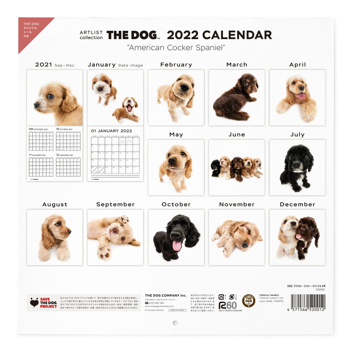 楽天市場 送料無料 The Dog公式ストア The Dog 22年 カレンダー 大判サイズ アメリカンコッカースパニエル 壁掛け ブックレット式 魚眼レンズ オリジナルシール付き動物 いぬ イヌ 犬 猫 カレンダー 壁掛 The Dog Store 楽天市場店