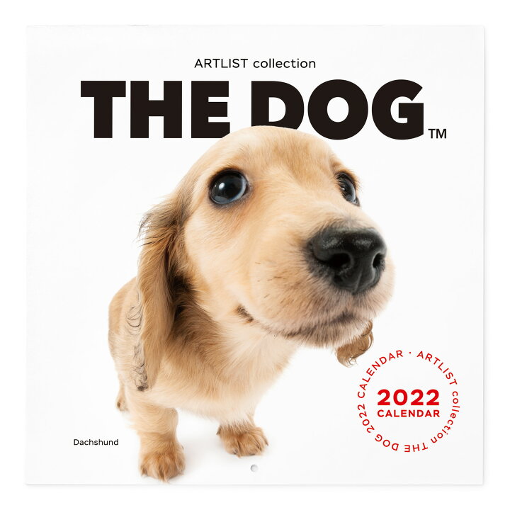 楽天市場 送料無料 The Dog公式ストア The Dog 22年 カレンダー 大判サイズ ダックスフンド 動物 いぬ イヌ 犬 猫 カレンダー 壁掛 The Dog Store 楽天市場店