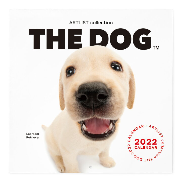 楽天市場 送料無料 The Dog公式ストア The Dog 22年 カレンダー 大判サイズ ラブラドールレトリーバー 動物 いぬ イヌ 犬 猫 カレンダー 壁掛 The Dog Store 楽天市場店 楽天市場 送料無料 The Dog公式ストア The Dog 22年 カレンダー 大判サイズ ラブラドールレトリーバー 動物 いぬ イヌ 犬 猫 カレンダー 壁掛 The Dog Store 楽天市場店