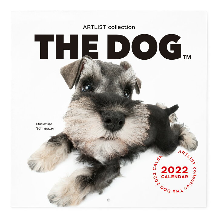 楽天市場 送料無料 The Dog公式ストア The Dog 22年 カレンダー 大判サイズ ミニチュアシュナウザー 動物 いぬ イヌ 犬 猫 カレンダー 壁掛 The Dog Store 楽天市場店 楽天市場 送料無料 The Dog公式ストア The Dog 22年 カレンダー 大判サイズ ミニチュアシュナウザー 動物 いぬ イヌ 犬 猫 カレンダー 壁掛 The Dog Store 楽天市場店