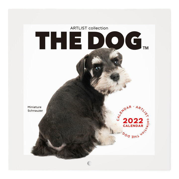 楽天市場 送料無料 The Dog公式ストア The Dog 22年 カレンダー ミニサイズ ミニチュアシュナウザー 動物 いぬ イヌ 犬 猫 カレンダー 壁掛 The Dog Store 楽天市場店 楽天市場 送料無料 The Dog公式ストア The Dog 22年 カレンダー ミニサイズ ミニチュアシュナウザー 動物 いぬ イヌ 犬 猫 カレンダー 壁掛 The Dog Store 楽天市場店