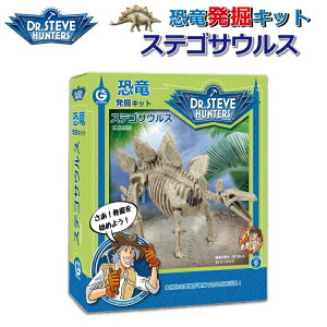 WI[h GeoWorld @Lbg XeSTEXMtg v[g a