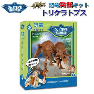 WI[h GeoWorld @Lbg gPgvXMtg v[g a