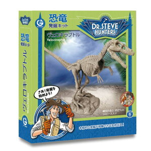 GEOWORLD WI[h y@Lbg FLvg {pbP[Wz CL1664KJ Ki