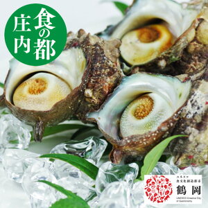 TUG kt H 1kg(510j R`lY  hg bbq CN o[xL[@o[xL[Zbg H̓s