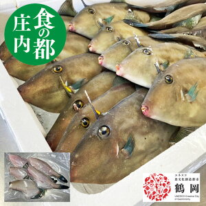 魚 塩焼き 魚の人気商品 通販 価格比較 価格 Com