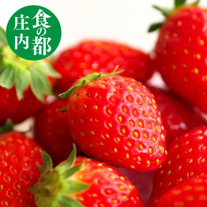 楽天市場 いちご ギフト 庄内砂丘いちご 180ｇ 5パック 送料無料 山形県庄内産 産地直送 高級イチゴ 野菜 庄内野菜 食の都庄内 お食い初め鯛料理の店ザ フレア