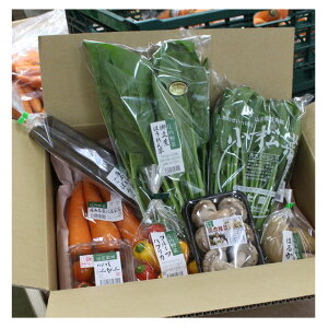  ؃Zbg 8i  ܂@R`Y ؋lߍ킹 VN n؁y̓z