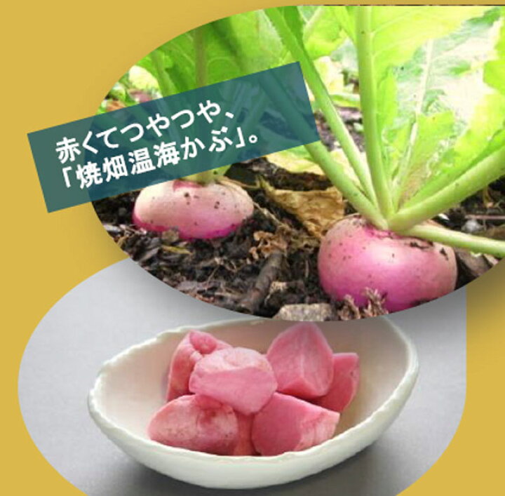 楽天市場 野菜 赤かぶ 1ｋｇ 10個前後 常温 あつみかぶ 山形県鶴岡市一霞地区 旧 温海町一霞 栽培期間中無肥料 無農薬 赤カブ かぶら お食い初め鯛料理の店ザ フレア