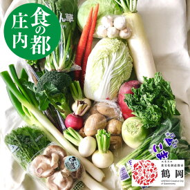 野菜セット 8品目以上 山形県庄内産 新鮮 地物野菜 おまかせ 詰め合わせ 在来作物
