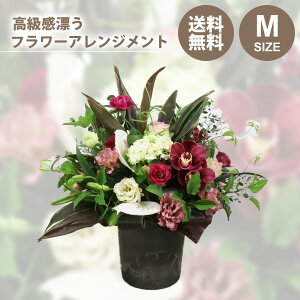 yubNtCf[za  Mtg o[Xf[ t[Xĝ܂t[AWg ̓ hV̓ Mtg a j j JXj ACj 