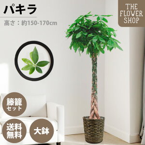 yubNtCf[zyIׂTCYzϗtA pL F80-100cm 160-180cm O[ v[g Mtg NX}X ̓ ̓ hV̓ j JXj Vj ACj 