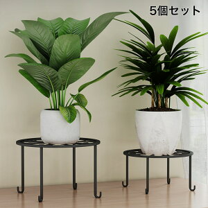 t[X^h 5Zbg K[fjO  ԑ |bg  ϗtA X^h ACA Aؔ |bN  O  u  Lrt u CeA rt ̓ 