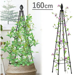 IxXN ACA o K[fj N}`X gX ߉\ gݗĊȒP hK U 160cm gsA[ 鐫 A diy [Y K[f   x KN ΂ RpNg  