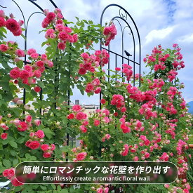 ＼10%OFFクーポン ＆ お買い物マラソン！／ 高さ180cm アイアン ガーデン フェンス 2枚セット 4枚セット バラ トレリス つる植物支柱 庭目隠し 柵 仕切り 屋外 黒 頑丈 園芸 フェンス ガーデニング クレマチス オベリスク トレリスフェンス 目隠しフェンス ローズ