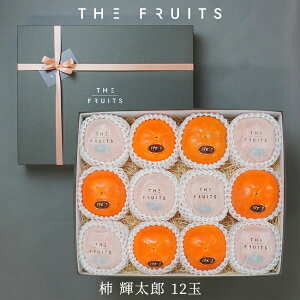 THE FRUITS ` PY 挧Y 12  G (9ʋjȏ  낤  j Ԃ oYj j wj Cj j j 䒆   䋟 Mtg