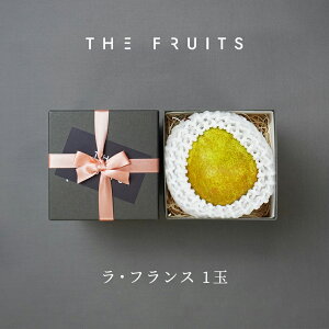 THE FRUITS EtX R`Y m tX 1  G  16ʋ ȏ tX m  j Ԃ oYj j wj Cj j j  䋟 
