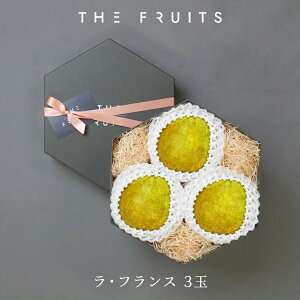 THE FRUITS EtX R`Y m 3  tX G  16ʋ ȏ tX m  j Ԃ oYj j wj Cj j j  䋟 