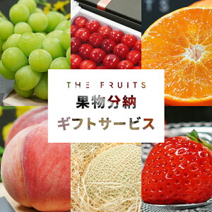 yTHE FRUITS ʕ[MtgT[rXz j Ԃ oYj j Cj j j lߍ킹 Mtg t[c ʕ  p TuXN w  Ε  