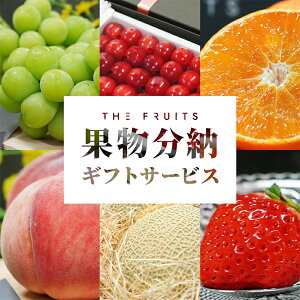 yɁzʕ[MtgT[rX THE FRUITS j Ԃ oYj j j j lߍ킹 Mtg t[c ʕ  p TuXN w    