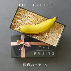 【 皮ごと食べられるバナナ 】THE FRUITS BANANA 宮崎県産 バナナ 1本 国産 皮まで食べられる 皮ごと 出産祝い 内祝い プレゼント 出産内祝い 内祝い 入学内祝い 快気祝い 結婚祝い 結婚内祝い 高級 最高級 フルーツ 果物 贈答品 贈答用 結婚式 バレンタイン プチギフト