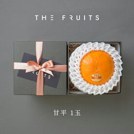【寒中見舞いに】THE FRUITS 愛媛県産 柑橘 甘平 1玉 等級 青秀 中大玉（2L） 以上 高級 内祝い お返し 出産内祝い 内祝 快気祝い 結婚内祝い 御中元 お中元 お供え 御供 ギフト かんぺい 甘平 フルーツ 果物 希少 柑橘 バレンタイン 蜜柑 みかん 贈答用 贈答品
