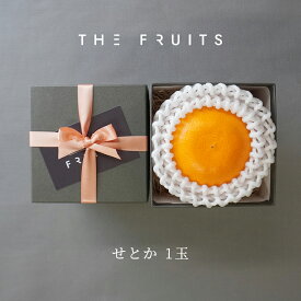 【3月初旬頃より出荷開始】THE FRUITS せとか 香川県 愛媛県産 柑橘 1玉 等級 青秀 中大玉（2L） 以上 高級 内祝い お返し 出産内祝い 内祝 快気祝い 結婚内祝い 御中元 お中元 お供え 御供 ギフト フルーツ 果物 希少 柑橘 バレンタイン 蜜柑 みかん 贈答用 贈答品