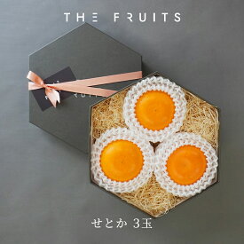 【3月初旬頃より出荷開始】THE FRUITS せとか 香川県 愛媛県産 柑橘 3玉 等級 青秀 中大玉（2L） 以上 高級 内祝い お返し 出産内祝い 内祝 快気祝い 結婚内祝い 御中元 お中元 お供え 御供 ギフト フルーツ 果物 希少 柑橘 バレンタイン 蜜柑 みかん 贈答用 贈答品