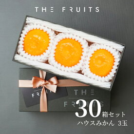 【 プチギフト に 】THE FRUITS ハウスみかん 3玉 和歌山 愛媛県産 みかん ゆら早生 早生 石地 南柑 青島 等級 赤秀 サイズ S前後 内祝 高級 最高級 ギフト 贈答品 出産内祝い 内祝い みかん箱 快気祝い 結婚祝い 結婚内祝い 贈答品 贈答用 蜜柑 果物 バレンタイン