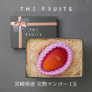 �y4��15���ȍ~�o�ח\��zTHE FRUITS ���n�}���S�[ �{�茧�Y MIYAZAKI MANGO �����ԏG 2L �ȏ� �}���S�[ �o�Y�j�� ���j�� ���Ԃ� �����i �o�Y���j�� ���j�� ���w���j�� �����o�� ���C�j�� �����j�� ��