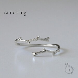 �����O �v���`�i Pt ���f�B�[�X �w�� �����p �W���G���[ �A�N�Z�T���[ �v���[���g �} ���R ���� �n�� �V���v�� ���i �g�� �����A�����M�[ �l�C ���{�� ���Y Pt ���[�� �����O