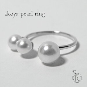 y11/28ߌlグ{z O v`i fB[X w p WG[ v[g fB[X AR^ w p   p[eB ARp[O 6 a 