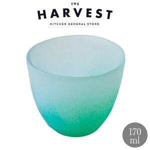 ̂ǂ ~Xg OX VbKXH  JtF hN v[gbKXH hNp  Mtg ^u[