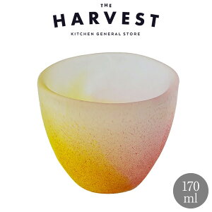 ̂ǂ ~Xg OX [ĂbKXH  JtF hN v[gbKXH hNp  Mtg ^u[