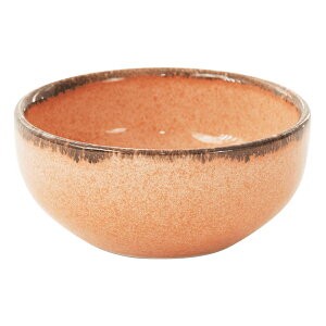 ANFORA J{ IW X[v{EbLVRH  Ɩp v[gb JtF T_{E X[v{E Mtg X[vM 