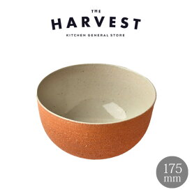 HARVEST FLAMES Gaien 丼 信楽焼 皿｜和モダン カフェ風 ナチュラル おしゃれ プレゼント｜オリジナル カフェ食器 シンプル ディナー皿 ギフト プレート