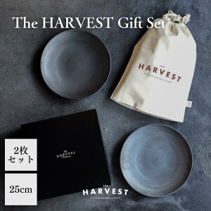 HARVEST MtgZbg Shigaraki Kuro Plate 25cmi2j| My M a_ JtF i`  v[g